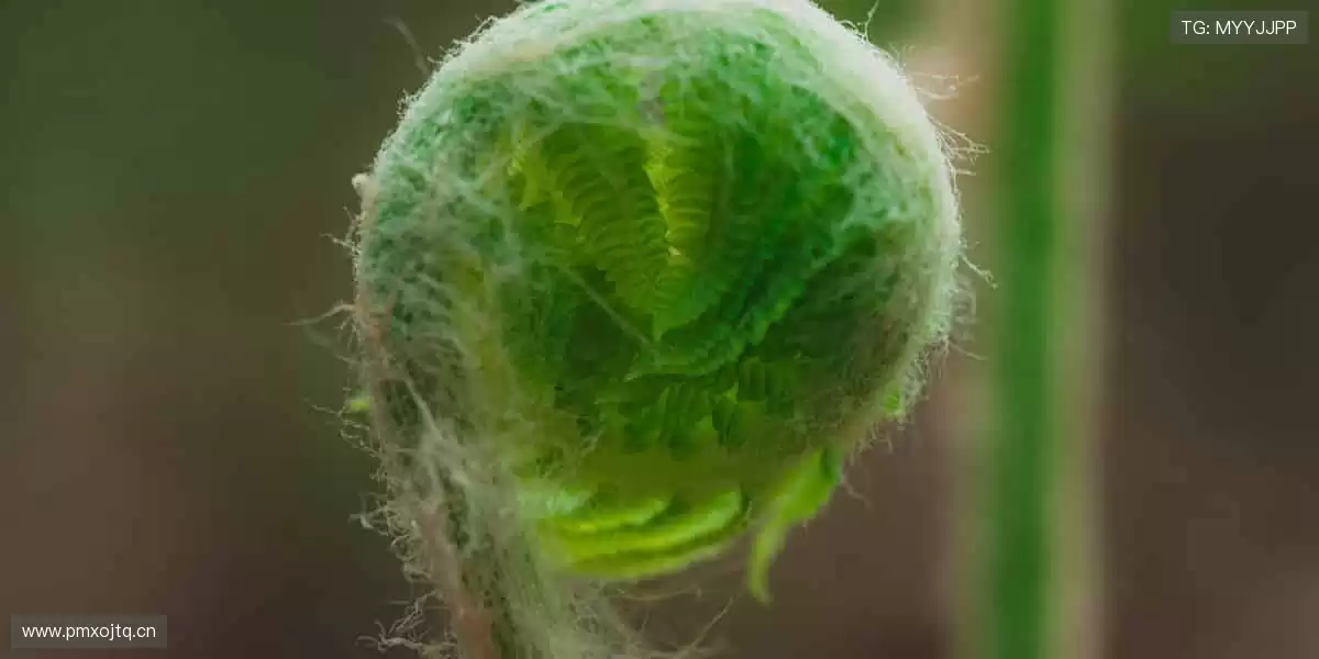 🔥 每一场赛事,都是热血的碰撞!立即加入,见证巅峰对决⚽️🏀